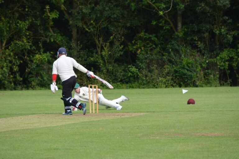 Photo Cricket nets