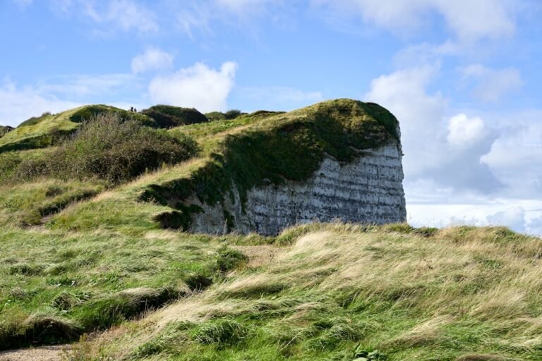 Photo Coastal cliffs