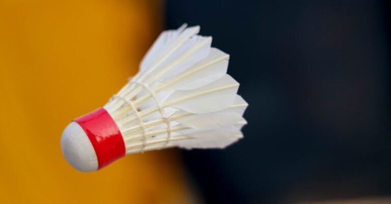 Photo Badminton court