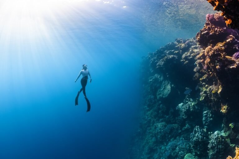 Photo Underwater reef