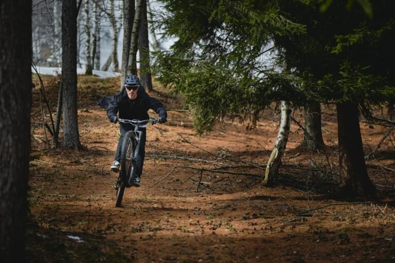 Photo Horseback riding trail