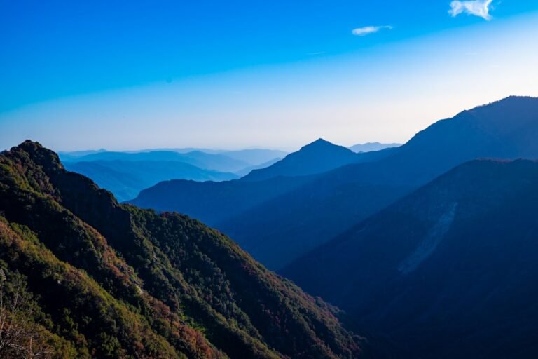 Photo Blue Mountains